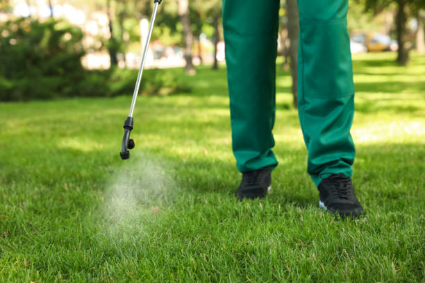 Best Termite Control Services  in Tell City, IN