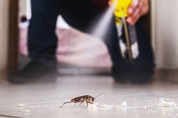 Best Pest Prevention Services  in Tell City, IN