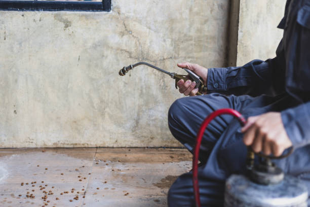 Best Wasp Removal Services  in Tell City, IN